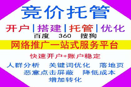 谷歌竞价广告的关键词选择与优化案例